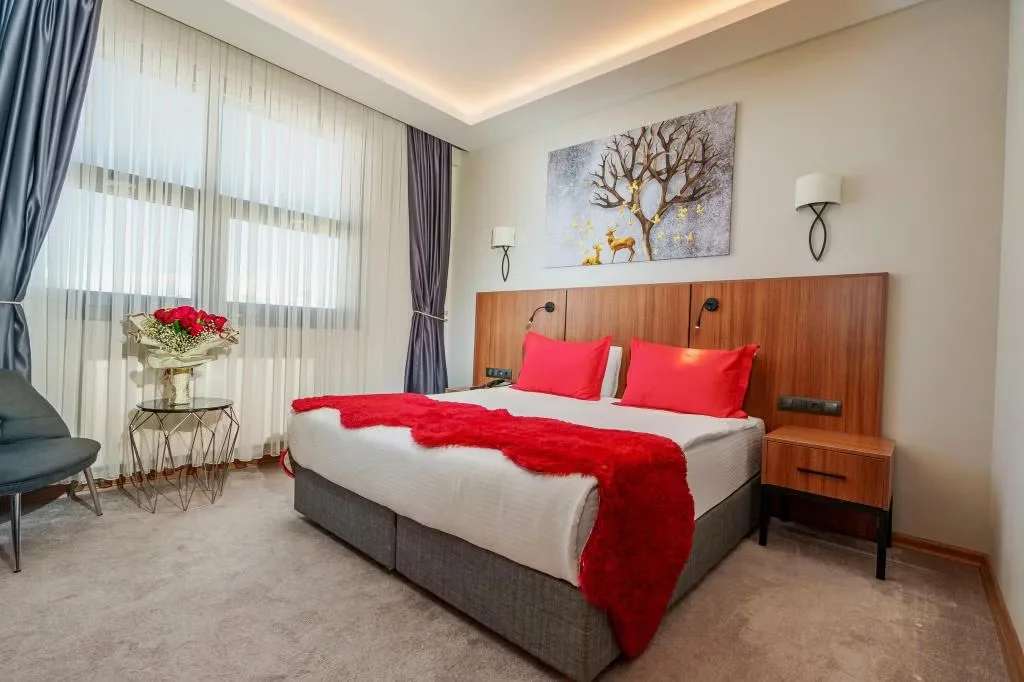 Library Hotel Erciyes