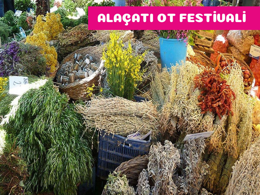 Alaçatı Ot Festivali Turu | 1 Gece Konaklamalı | İstanbul Çıkışlı - 5