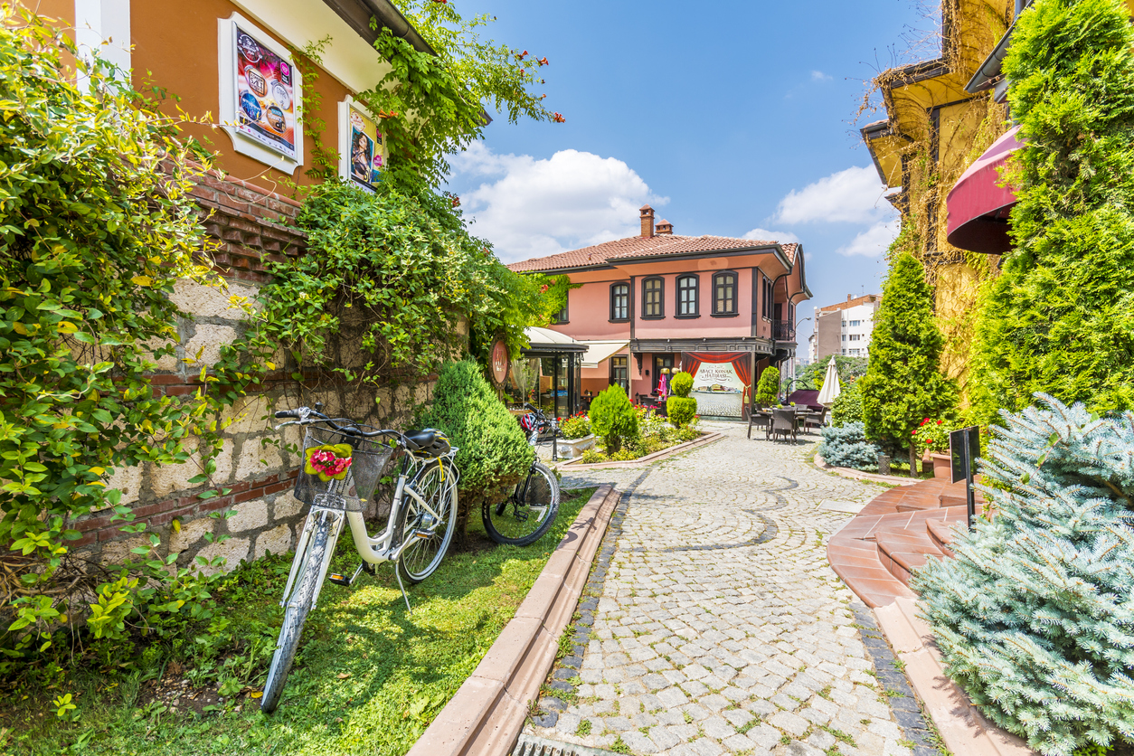 Günübirlik Eskişehir Odunpazarı Turu | İstanbul Çıkışlı - 10
