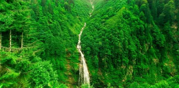 Karadeniz Yaylaları ve Batum Turu | 5 Gece 6 Gün | İstanbul Çıkışlı - 30