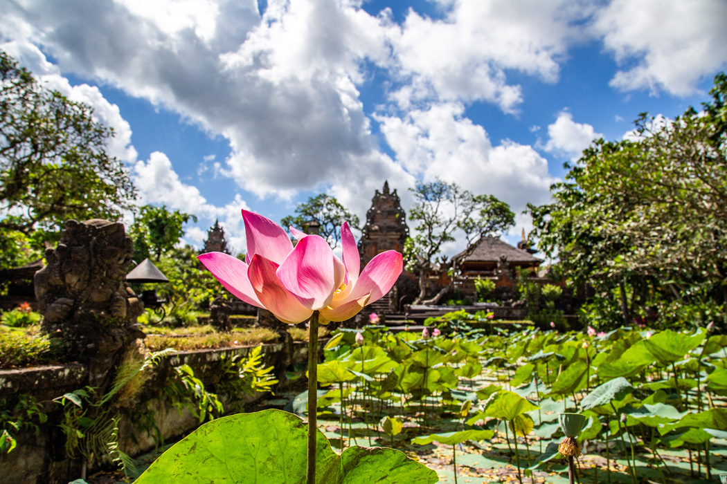 Comfort Ubud Bali Turu Emirates Hava Yolları ile Vizesiz Ekstra Turlar Dahil | 7 Gece Konaklamalı | İstanbul Çıkışlı