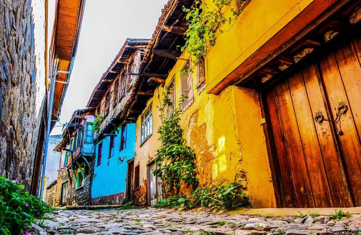 Günübirlik Cumalıkızık Gölyazı Mudanya Trilye Turu | İstanbul Çıkışlı - 9