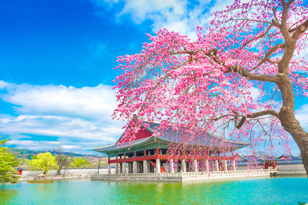 Süper Promo Japonya Rotası Turu All Nippon Airways ile | 6 Gece Otel Konaklamalı | İstanbul Çıkışlı | Vizesiz - 5